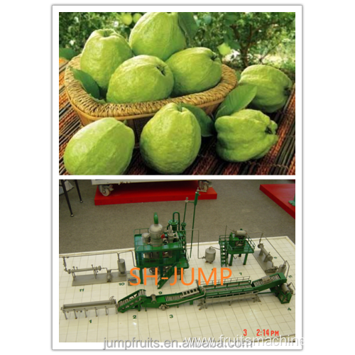 Complete set of papaya juice making machine